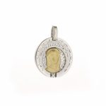 Medalla oro y plata brillante