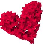 Dia de San Valentin, dia de los enamorados