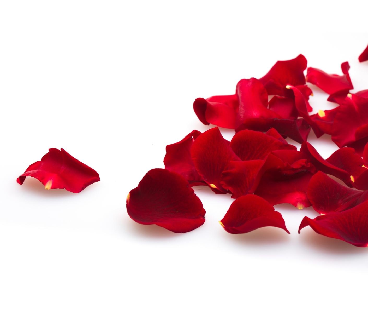 selección especial de san Valentin